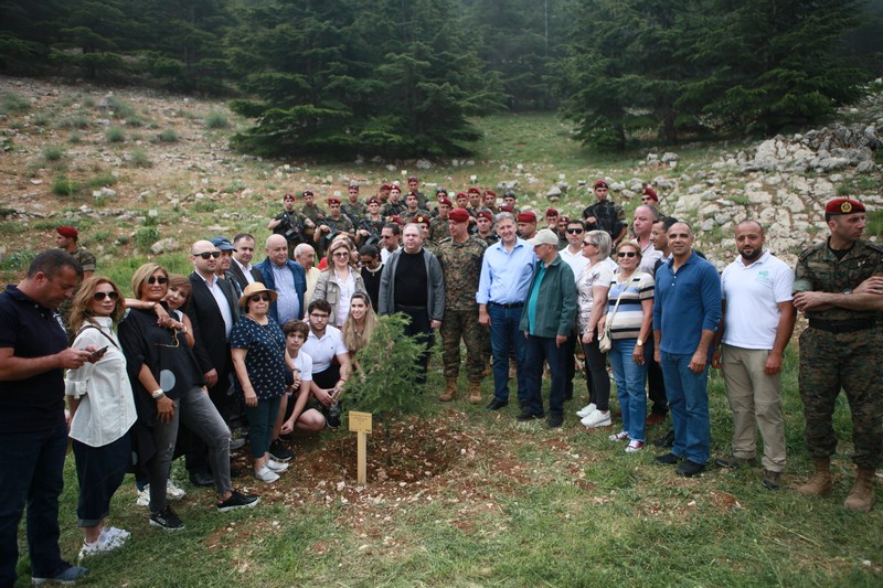 Cedar tree in memory of the Lebanese Commandos Regiment founder